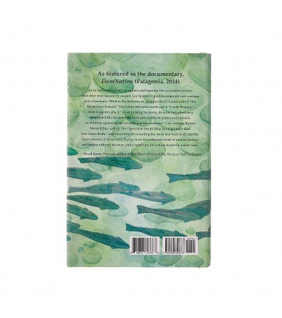 Patagonia Книга