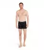 Боксерки Icebreaker Merino 150 Anatomica Boxers Ski Day Winter 2025